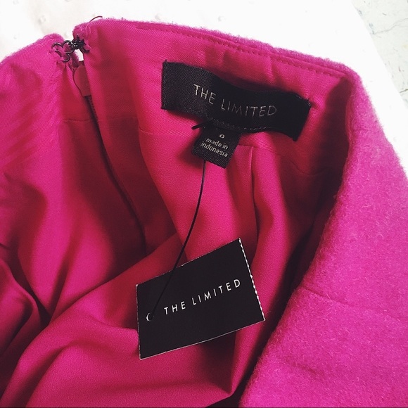 🔥NWT Hot Pink Skirt The Limited Mini Skirt Wool - Picture 7 of 8